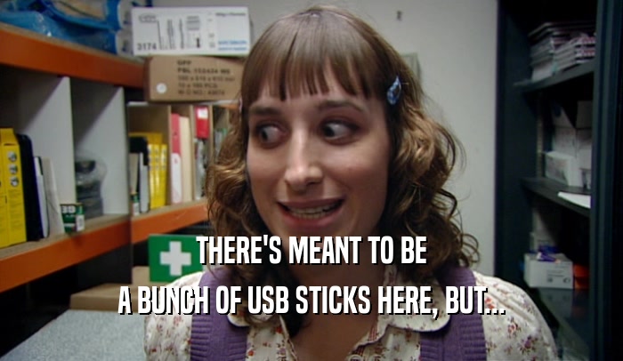 THERE'S MEANT TO BE A BUNCH OF USB STICKS HERE, BUT... 