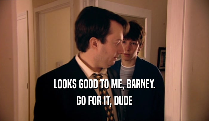 LOOKS GOOD TO ME, BARNEY. GO FOR IT, DUDE 