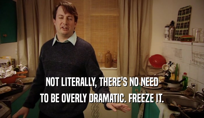 NOT LITERALLY, THERE'S NO NEED TO BE OVERLY DRAMATIC. FREEZE IT. 