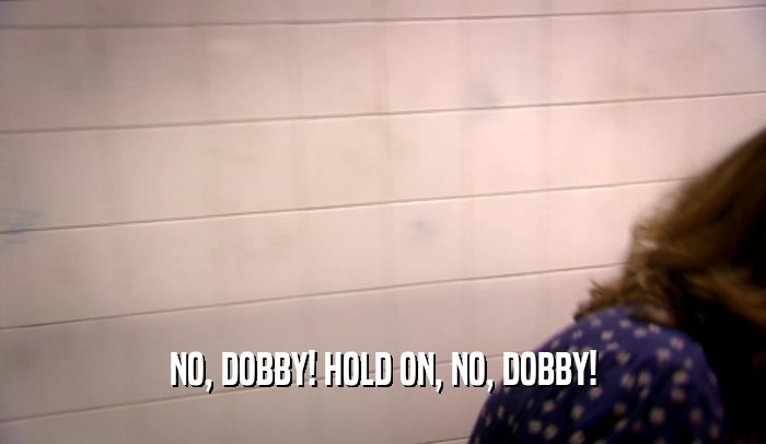 NO, DOBBY! HOLD ON, NO, DOBBY!  
