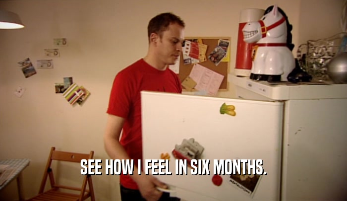 SEE HOW I FEEL IN SIX MONTHS.  