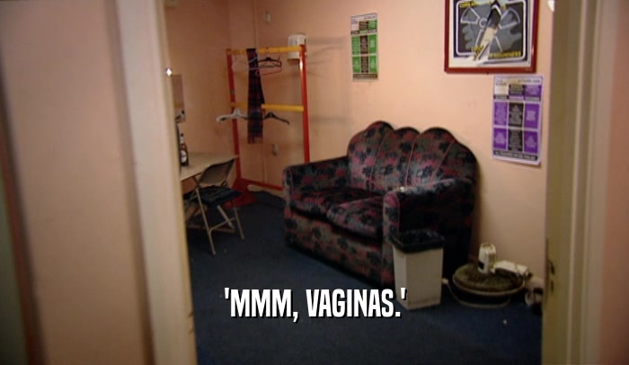 'MMM, VAGINAS.'  