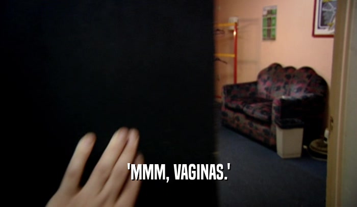 'MMM, VAGINAS.'  