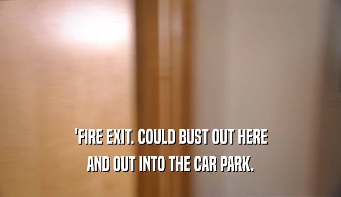 'FIRE EXIT. COULD BUST OUT HERE AND OUT INTO THE CAR PARK. 