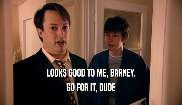 LOOKS GOOD TO ME, BARNEY. GO FOR IT, DUDE 