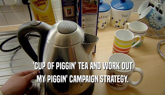 'CUP OF PIGGIN' TEA AND WORK OUT MY PIGGIN' CAMPAIGN STRATEGY. 