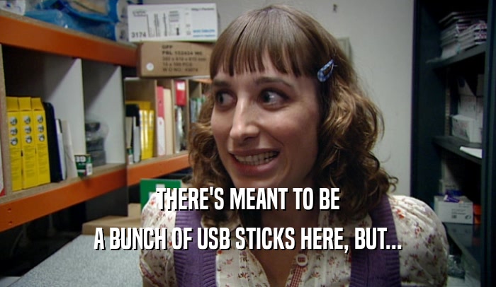 THERE'S MEANT TO BE A BUNCH OF USB STICKS HERE, BUT... 
