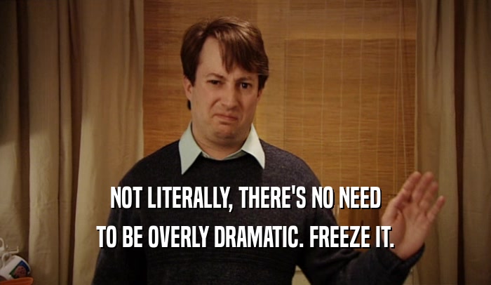 NOT LITERALLY, THERE'S NO NEED TO BE OVERLY DRAMATIC. FREEZE IT. 