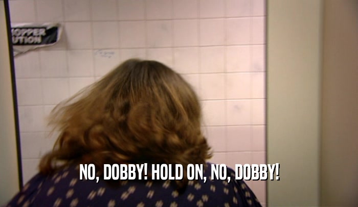 NO, DOBBY! HOLD ON, NO, DOBBY!  