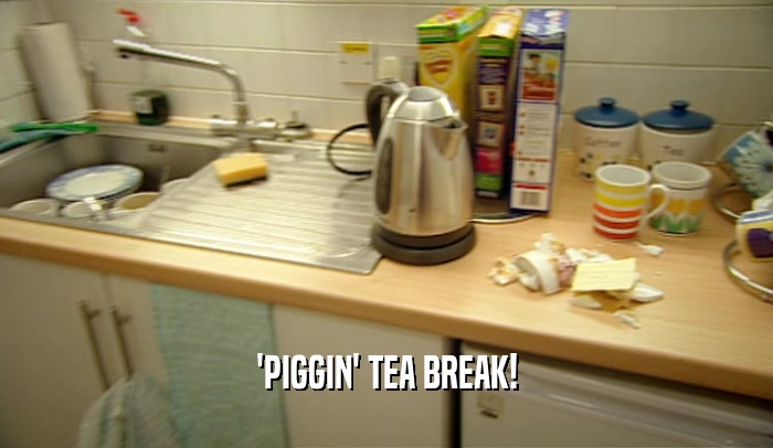 'PIGGIN' TEA BREAK!  
