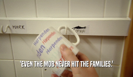 'EVEN THE MOB NEVER HIT THE FAMILIES.'  