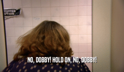 NO, DOBBY! HOLD ON, NO, DOBBY!  