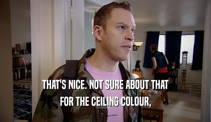 THAT'S NICE. NOT SURE ABOUT THAT FOR THE CEILING COLOUR, 