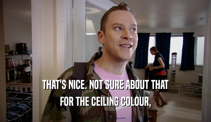 THAT'S NICE. NOT SURE ABOUT THAT FOR THE CEILING COLOUR, 
