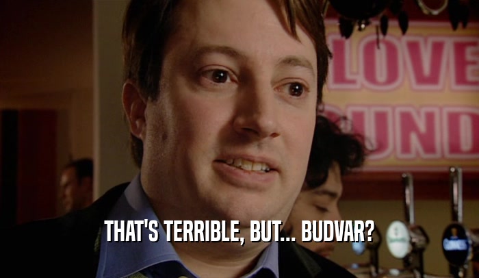THAT'S TERRIBLE, BUT... BUDVAR?  