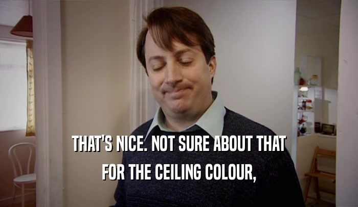 THAT'S NICE. NOT SURE ABOUT THAT FOR THE CEILING COLOUR, 