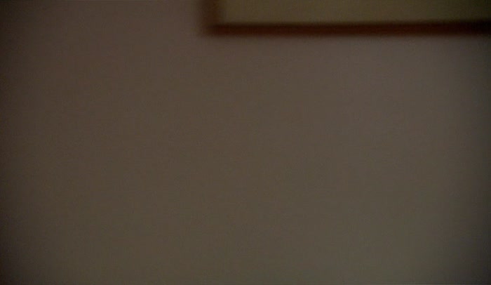 'I'M LIVING IN ANIMAL HOUSE. I DON'T WANT TO LIVE IN ANIMAL HOUSE. 