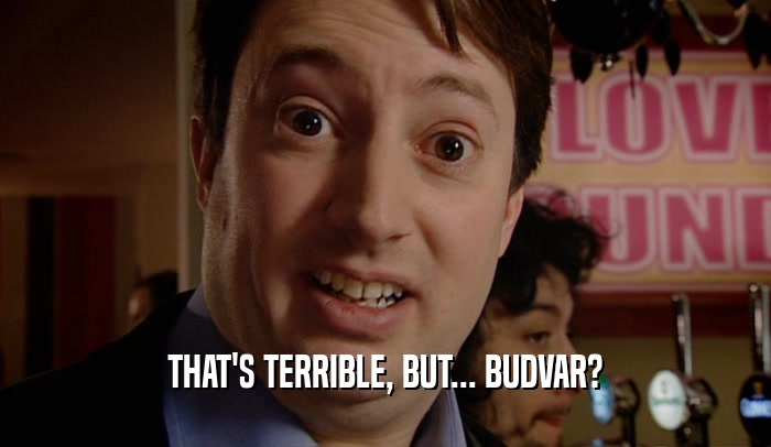 THAT'S TERRIBLE, BUT... BUDVAR?  