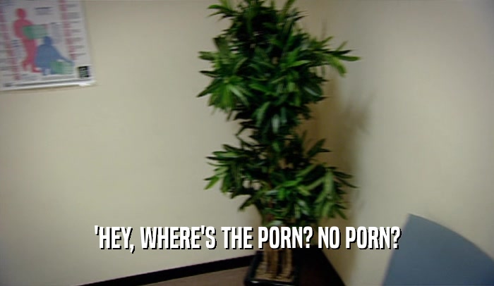 'HEY, WHERE'S THE PORN? NO PORN?  