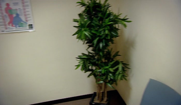 'HEY, WHERE'S THE PORN? NO PORN?  