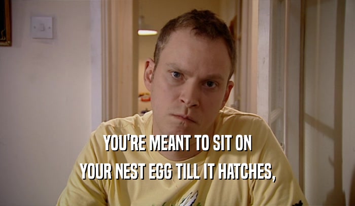 YOU'RE MEANT TO SIT ON YOUR NEST EGG TILL IT HATCHES, 