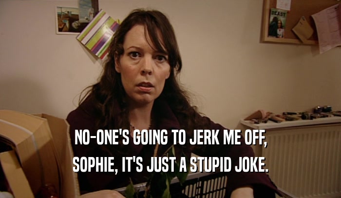 NO-ONE'S GOING TO JERK ME OFF, SOPHIE, IT'S JUST A STUPID JOKE. 