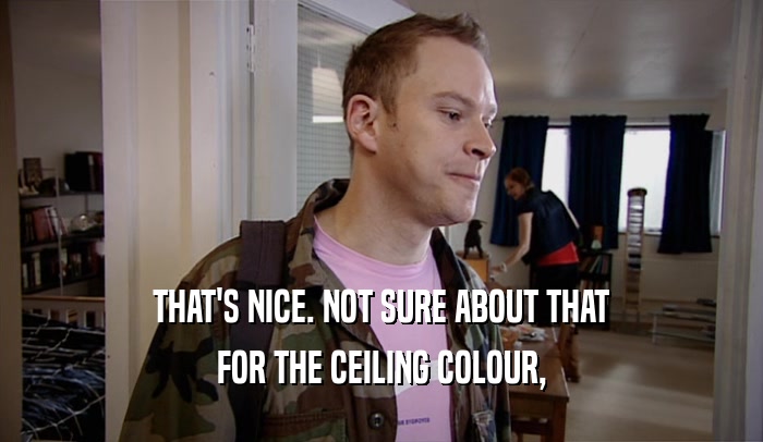 THAT'S NICE. NOT SURE ABOUT THAT FOR THE CEILING COLOUR, 