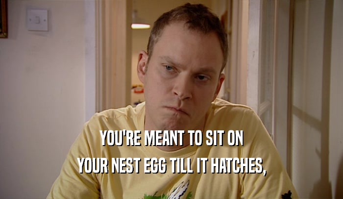 YOU'RE MEANT TO SIT ON YOUR NEST EGG TILL IT HATCHES, 