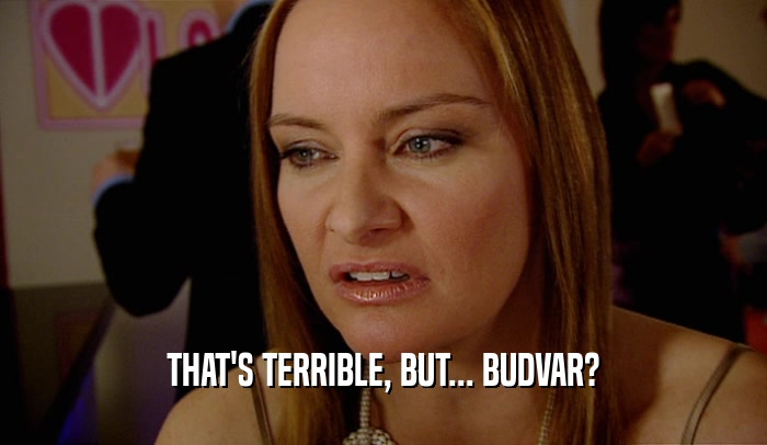 THAT'S TERRIBLE, BUT... BUDVAR?  