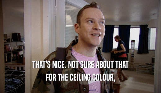 THAT'S NICE. NOT SURE ABOUT THAT FOR THE CEILING COLOUR, 