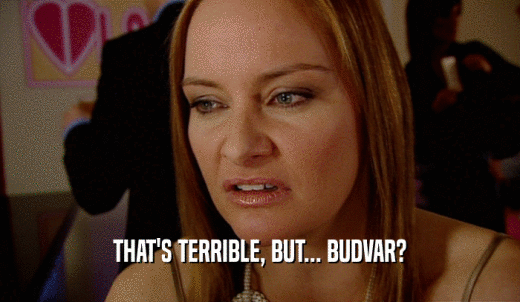 THAT'S TERRIBLE, BUT... BUDVAR?  