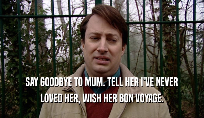 SAY GOODBYE TO MUM. TELL HER I'VE NEVER LOVED HER, WISH HER BON VOYAGE. 