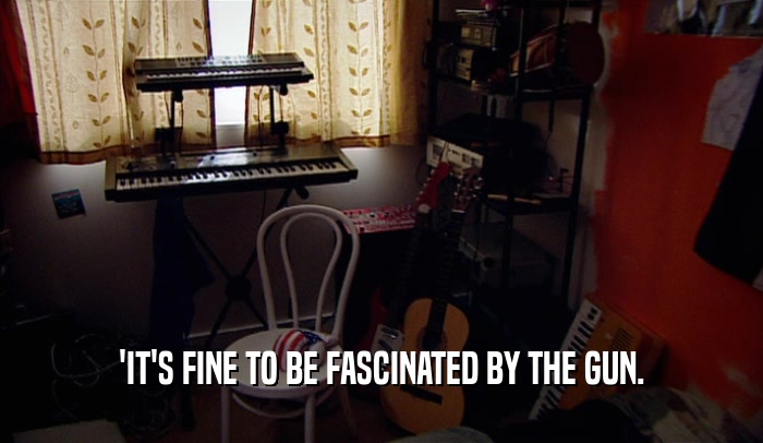 'IT'S FINE TO BE FASCINATED BY THE GUN.  