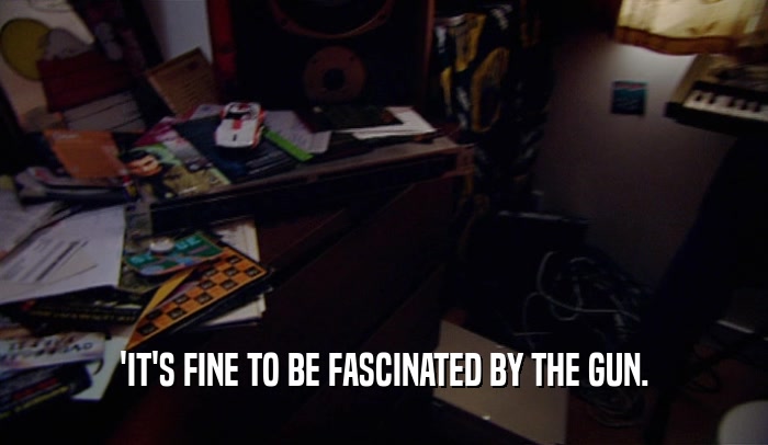 'IT'S FINE TO BE FASCINATED BY THE GUN.  