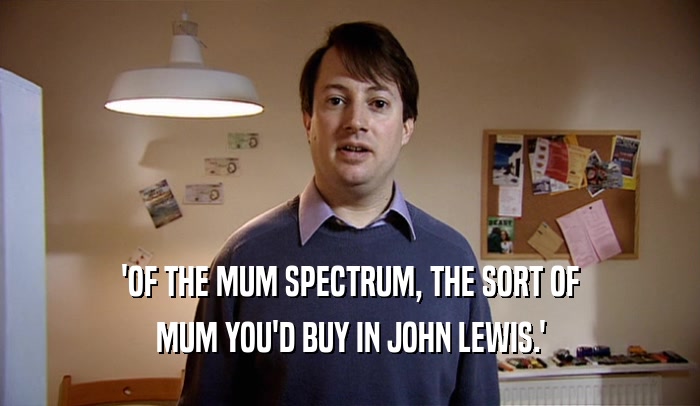 'OF THE MUM SPECTRUM, THE SORT OF MUM YOU'D BUY IN JOHN LEWIS.' 