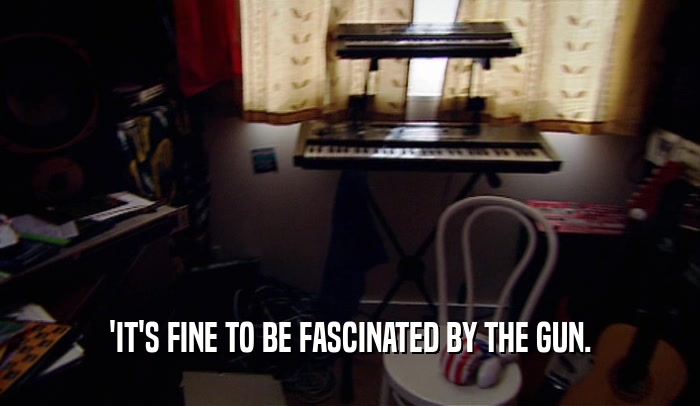 'IT'S FINE TO BE FASCINATED BY THE GUN.  