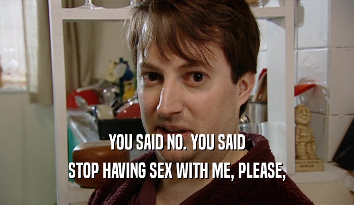 YOU SAID NO. YOU SAID STOP HAVING SEX WITH ME, PLEASE, 