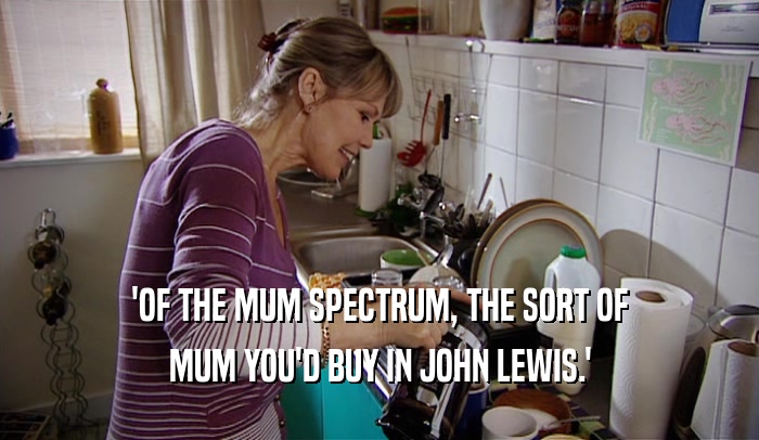 'OF THE MUM SPECTRUM, THE SORT OF MUM YOU'D BUY IN JOHN LEWIS.' 