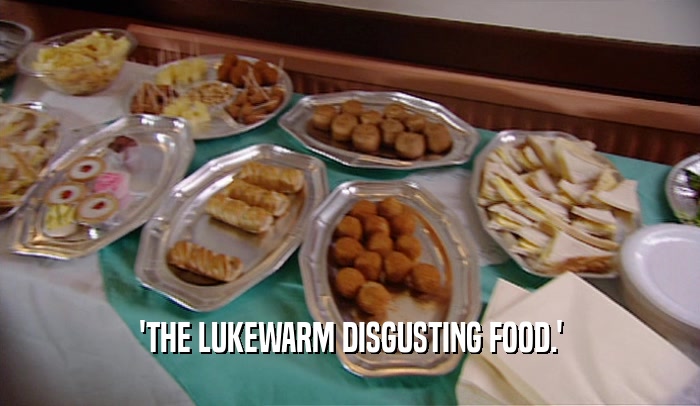 'THE LUKEWARM DISGUSTING FOOD.'
  