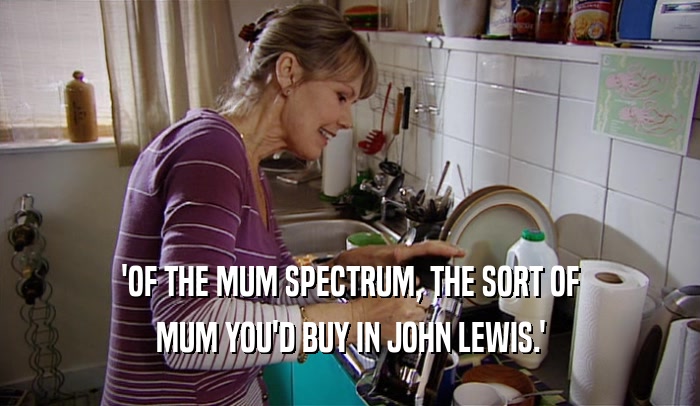 'OF THE MUM SPECTRUM, THE SORT OF MUM YOU'D BUY IN JOHN LEWIS.' 