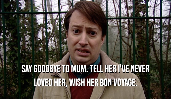 SAY GOODBYE TO MUM. TELL HER I'VE NEVER LOVED HER, WISH HER BON VOYAGE. 