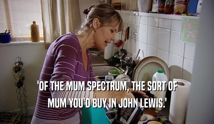 'OF THE MUM SPECTRUM, THE SORT OF MUM YOU'D BUY IN JOHN LEWIS.' 