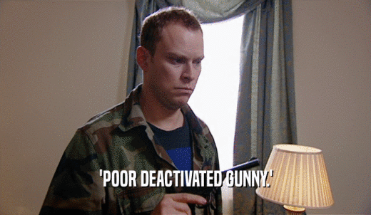 'POOR DEACTIVATED GUNNY.'  