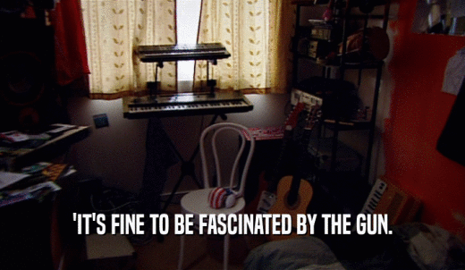 'IT'S FINE TO BE FASCINATED BY THE GUN.  