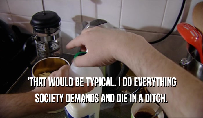'THAT WOULD BE TYPICAL. I DO EVERYTHING SOCIETY DEMANDS AND DIE IN A DITCH. 