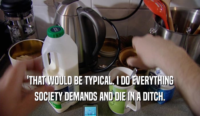 'THAT WOULD BE TYPICAL. I DO EVERYTHING SOCIETY DEMANDS AND DIE IN A DITCH. 