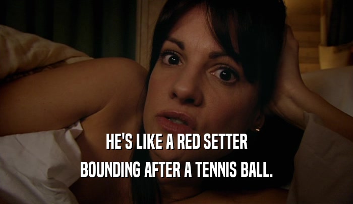 HE'S LIKE A RED SETTER BOUNDING AFTER A TENNIS BALL. 