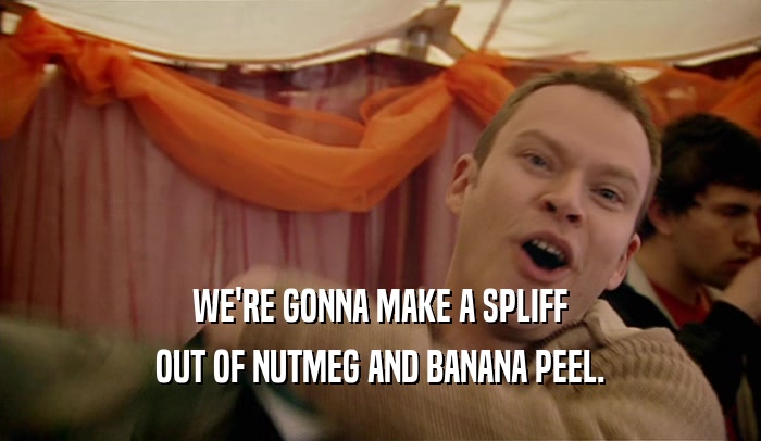WE'RE GONNA MAKE A SPLIFF
 OUT OF NUTMEG AND BANANA PEEL.
 