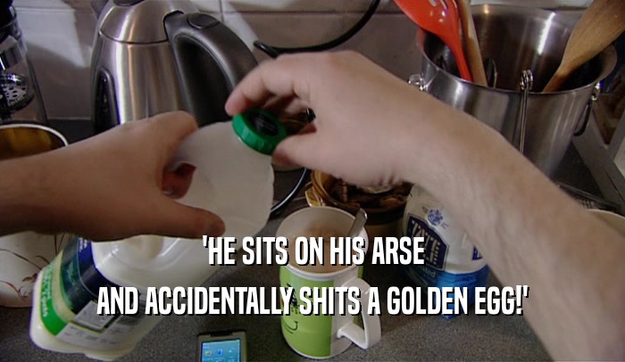 'HE SITS ON HIS ARSE AND ACCIDENTALLY SHITS A GOLDEN EGG!' 