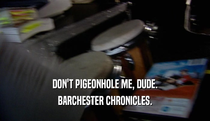 DON'T PIGEONHOLE ME, DUDE.
 BARCHESTER CHRONICLES.
 